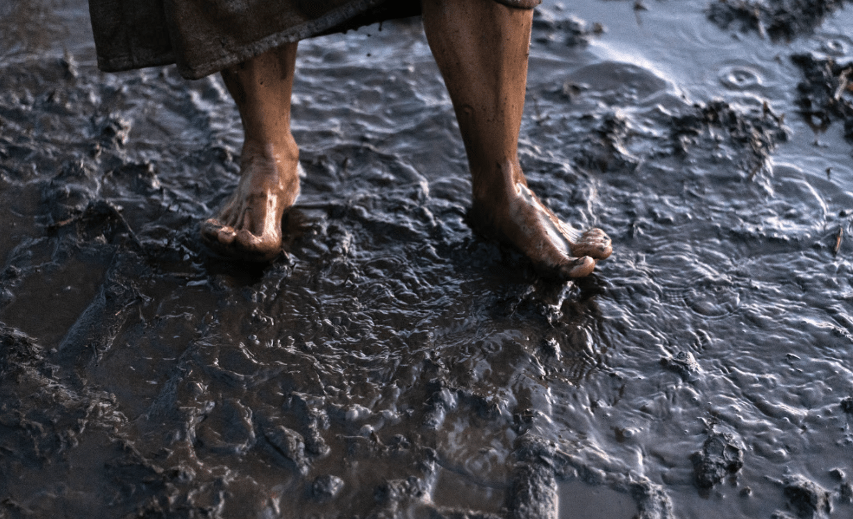Sylter Geheimnisse des Meeresgrundes: Wattführung im Weltnaturerbe