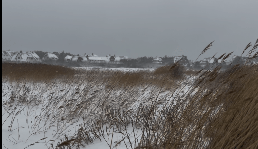 Die weiße Wand kommt: Schwere Sturmböen und Schneeverwehungen drohen Sylt lahmzulegen