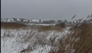 Die weiße Wand kommt: Schwere Sturmböen und Schneeverwehungen drohen Sylt lahmzulegen