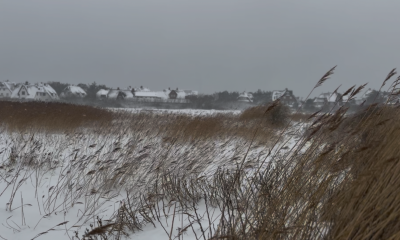 Die weiße Wand kommt: Schwere Sturmböen und Schneeverwehungen drohen Sylt lahmzulegen