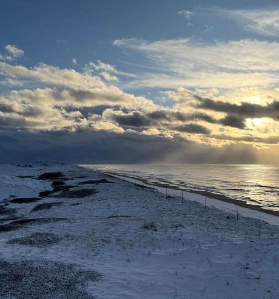 Wenn die Dünen Puderzucker tragen: Ein kleiner Winter-Knigge für Sylt