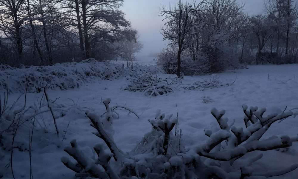 Schule in Westerland -wegen Schnee freiwillig