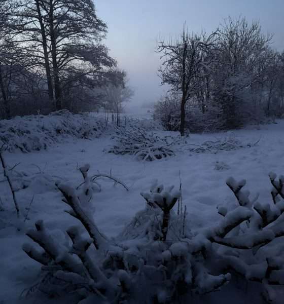 Schule in Westerland -wegen Schnee freiwillig