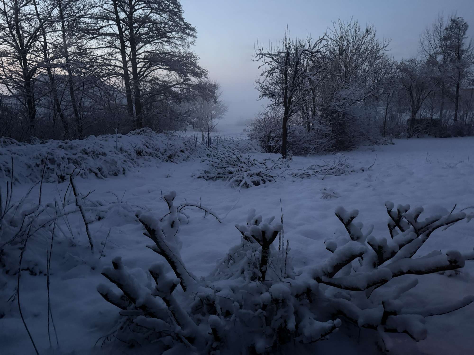 Schule in Westerland -wegen Schnee freiwillig 88 Schule in Westerland -wegen Schnee freiwillig
