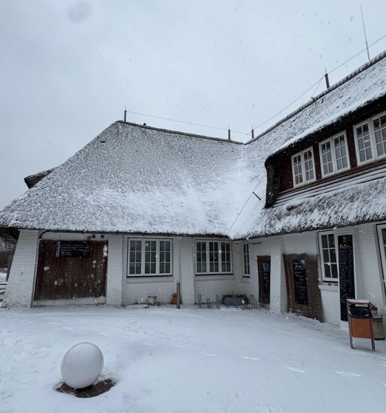 SCHNEEALARM AUF SYLT! (Oder: Der Tag, an dem die Insel weiß wurde)