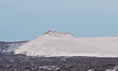 Sylter Wurzeln im Wandel: Was uns die Wanderdüne über das Bleiben und Gehen lehrt