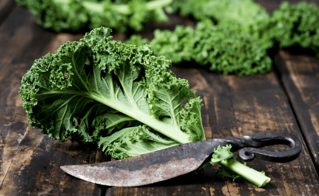 Pidder Lüng: Der Sylter Dickkopf als zeitloser Kompass