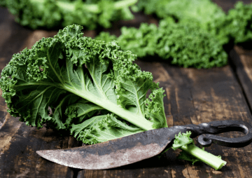 Pidder Lüng: Der Sylter Dickkopf als zeitloser Kompass