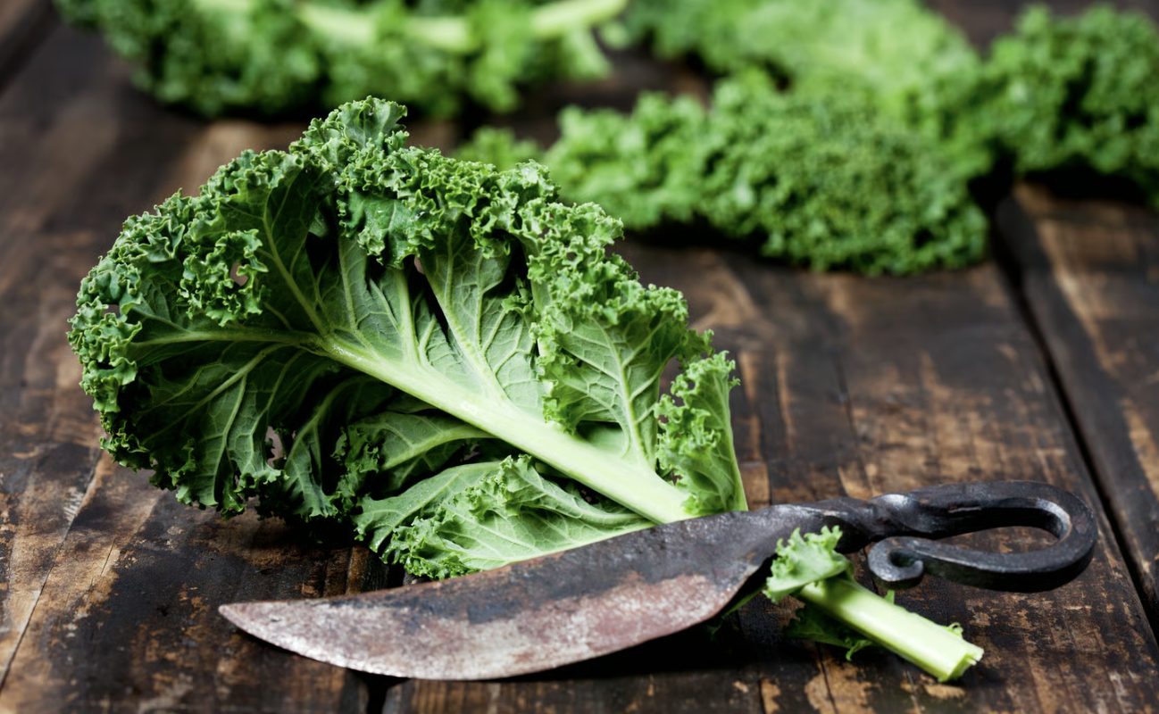 Pidder Lüng: Der Sylter Dickkopf als zeitloser Kompass