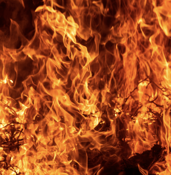 „Heißer“ Valentinstag in Kampen: Warum es an der Buhne 16 lichterloh brennt