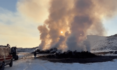Biikebrennen 2026 auf Sylt: Rauchzeichen aus Kampen und das Rätsel um die Syltrose
