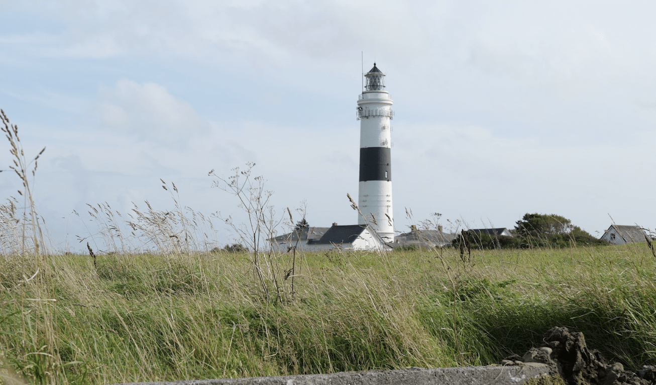 Frühjahrsputz für unser Inselparadies: Sylt macht sich fein! 9 Frühjahrsputz für unser Inselparadies: Sylt macht sich fein!