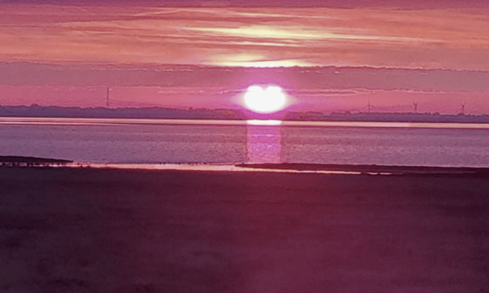 Bürokratie-Pause auf Sylt: Warum die EU-Verordnung an der Inselgrenze strandet