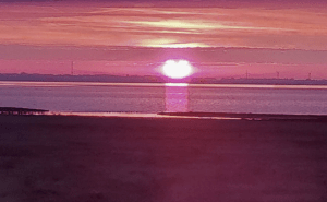 Bürokratie-Pause auf Sylt: Warum die EU-Verordnung an der Inselgrenze strandet