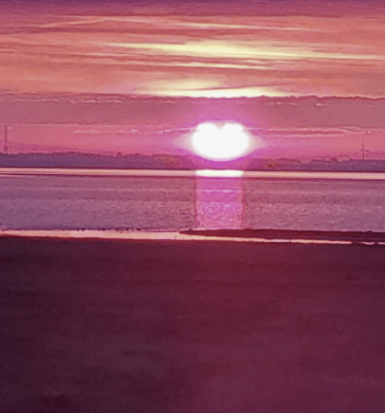 Bürokratie-Pause auf Sylt: Warum die EU-Verordnung an der Inselgrenze strandet