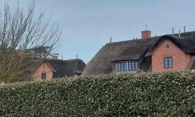 Sylts gefährlichste Versuchung