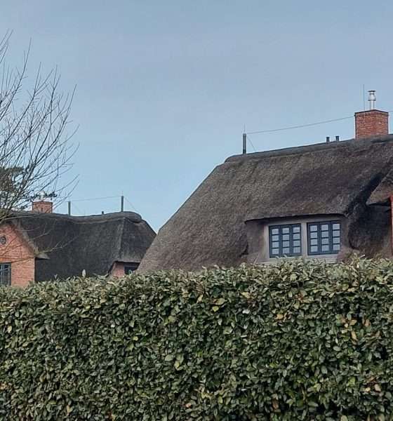 Sylts gefährlichste Versuchung