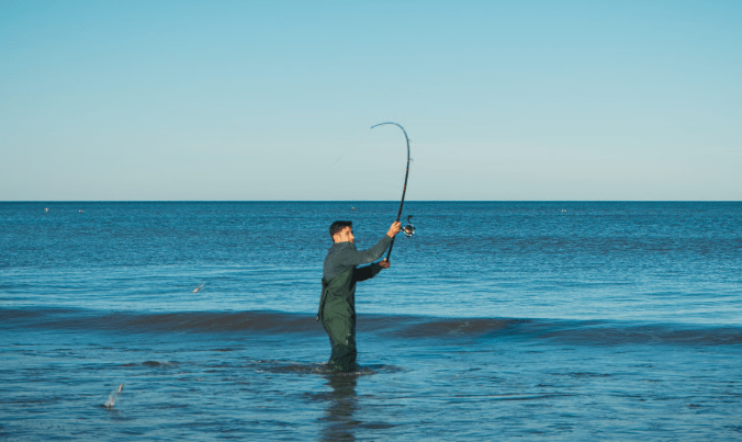 Sylt News 2026: Schuppige Insulaner – Was sich unter der Brandung wirklich tummelt