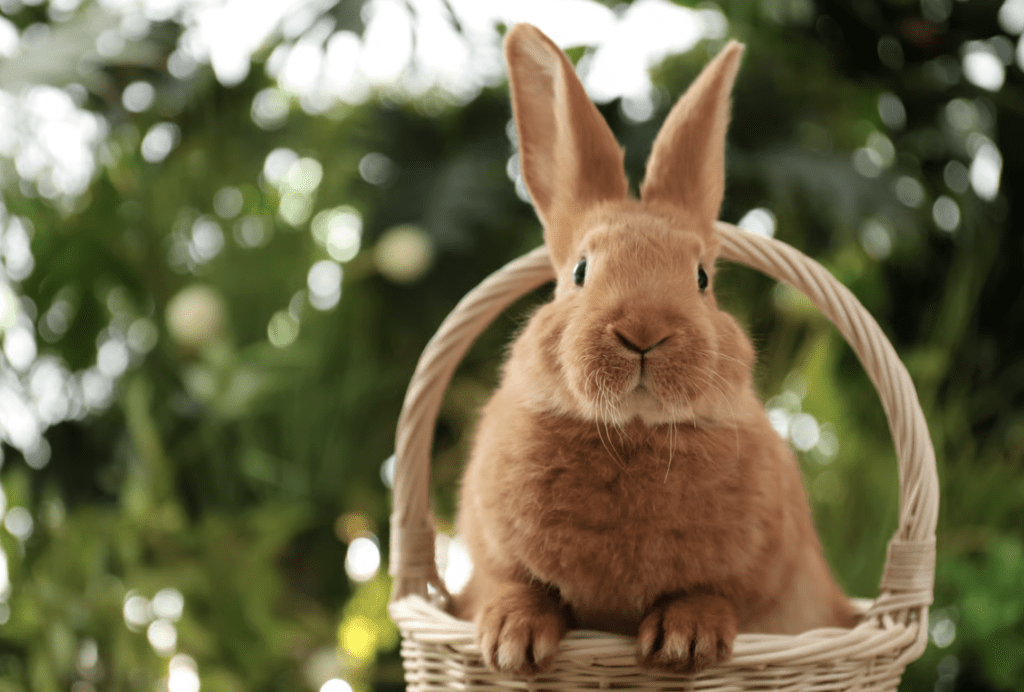 Puask Plesiir in der Neuen Mitte: Westerland feiert das XXL-Osternest