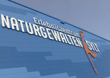 Schatzsuche am Lister Hafen: Flohmarkt-Trubel im Erlebniszentrum Naturgewalten