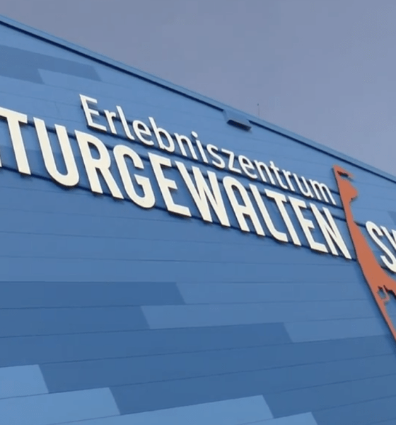 Schatzsuche am Lister Hafen: Flohmarkt-Trubel im Erlebniszentrum Naturgewalten