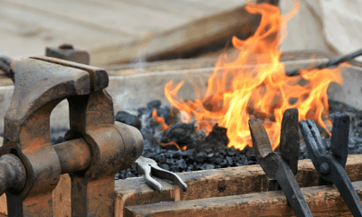 Sylt täglich: Wir servieren euch die Highlights des Tages!