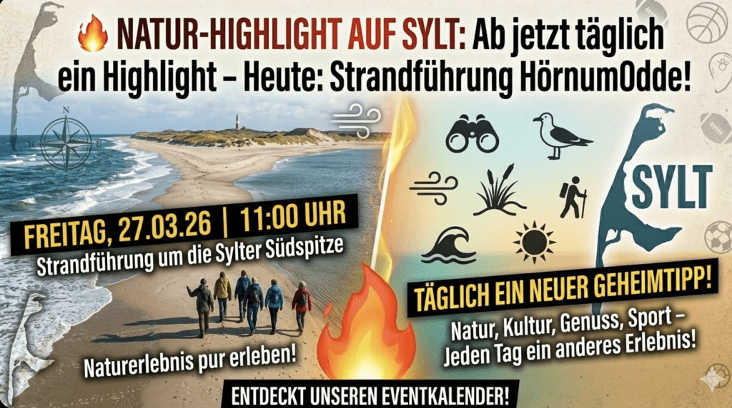 Unser Highlight am Freitag: Faszination Hörnum Odde!