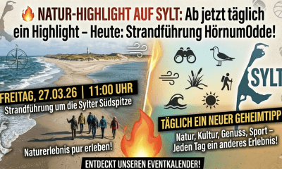 Unser Highlight am Freitag: Faszination Hörnum Odde!