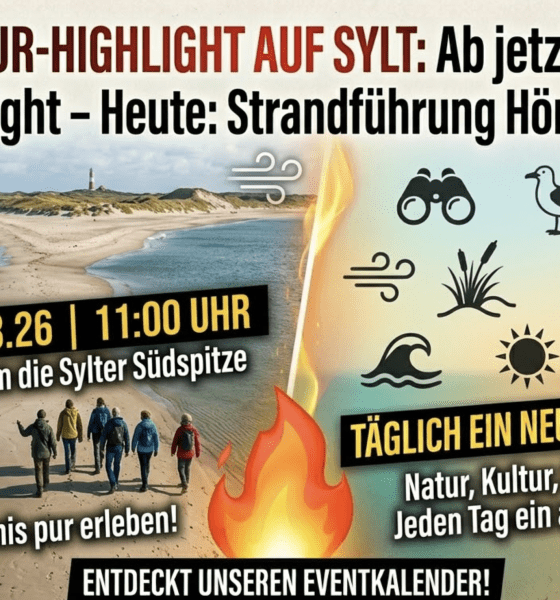 Unser Highlight am Freitag: Faszination Hörnum Odde!