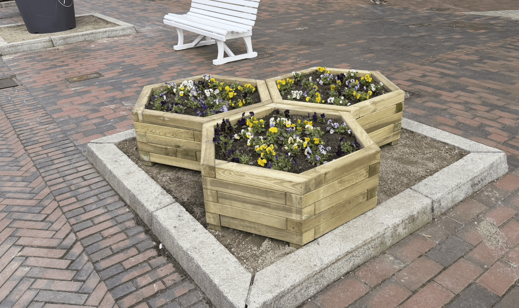 Kontroverse auf Sylt: Die Blumenkübel von Westerland