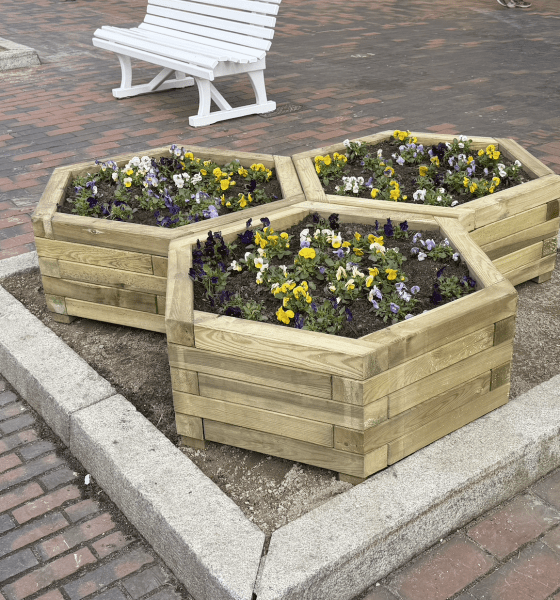 Kontroverse auf Sylt: Die Blumenkübel von Westerland