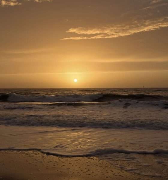 Garantiert mühelos informiert – Der verlässliche Kompass für den neuen Insel-Sommer
