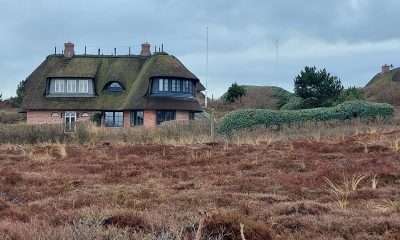 Die Königin bittet zum Tanz: Warum Sylt gerade jetzt ihr schönstes Lächeln findet