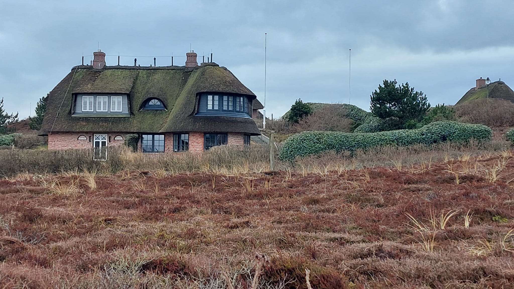 Die Königin bittet zum Tanz: Warum Sylt gerade jetzt ihr schönstes Lächeln findet 9 Die Königin bittet zum Tanz: Warum Sylt gerade jetzt ihr schönstes Lächeln findet