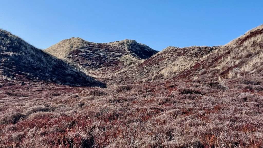 Wenn die Welt brennt, bleibt Sylt cool