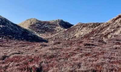 Wenn die Welt brennt, bleibt Sylt cool