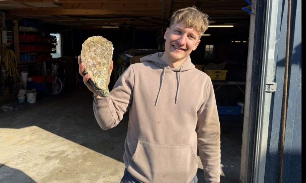 Sylt Sensationsfund: Der Godzilla aus dem Lister Watt