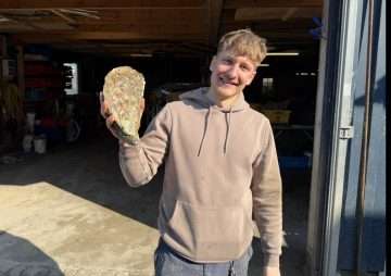 Sylt Sensationsfund: Der Godzilla aus dem Lister Watt