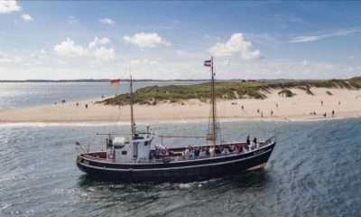 List - Pünktlich wie die Gezeiten: Die Seehunde bitten zur Audienz