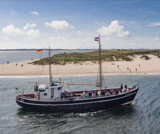 List - Pünktlich wie die Gezeiten: Die Seehunde bitten zur Audienz