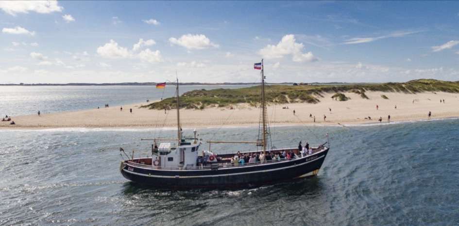 List - Pünktlich wie die Gezeiten: Die Seehunde bitten zur Audienz