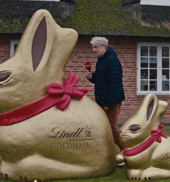 Wenn das Gold auf der Straße liegt: Der VIP-Hase auf Sylt-Patrouille