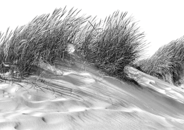 Wenn die Nordsee zum Kunstwerk wird: Karl Hoffmann verzaubert die „Galerie am Meer“ 103 Wenn die Nordsee zum Kunstwerk wird: Karl Hoffmann verzaubert die „Galerie am Meer“