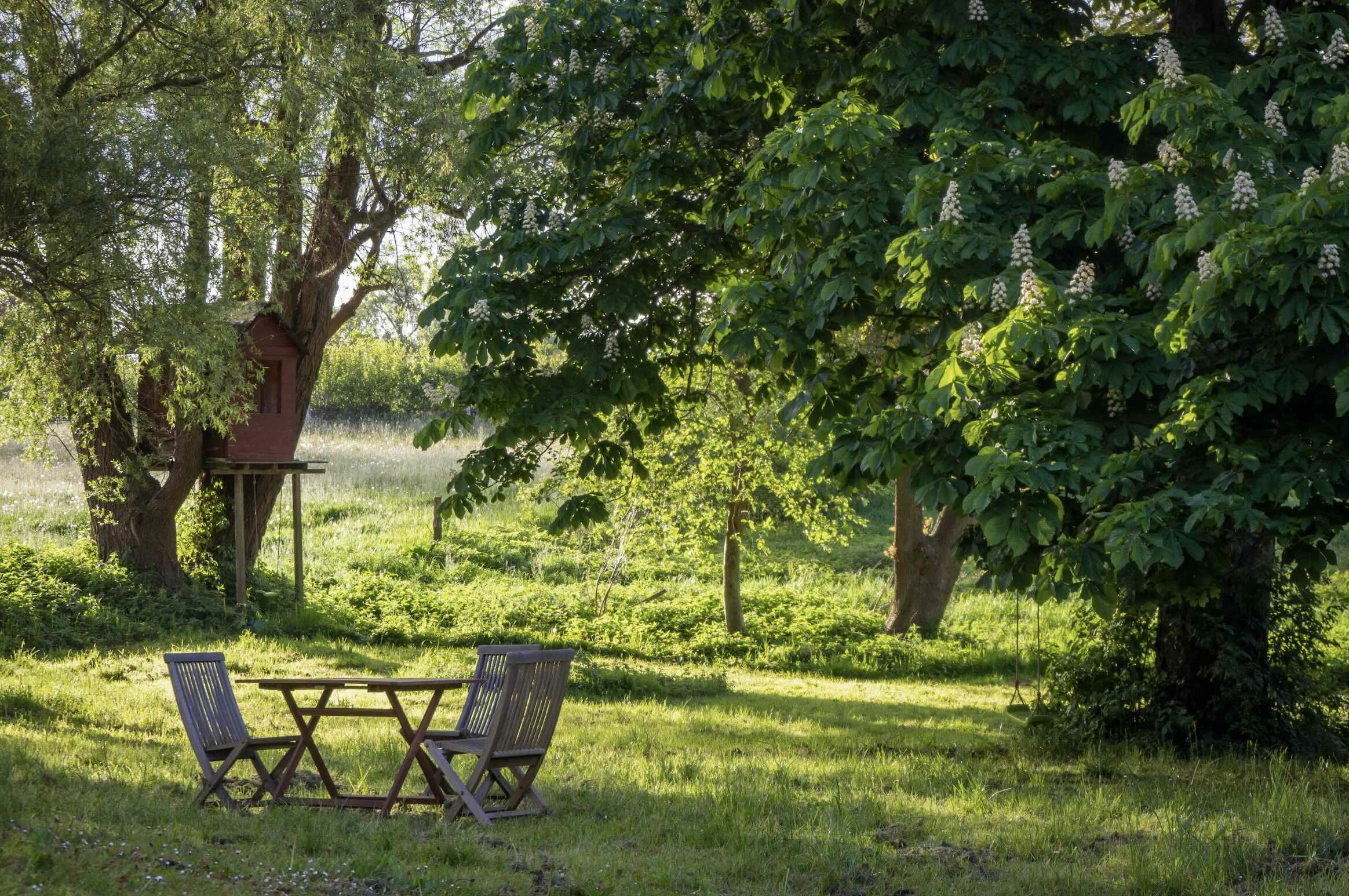 Den Frühling voll auskosten mit Veranstaltungen und anfängerfreundlichen Aufgaben am Nationalen Tag des Gärtnerns 1 Den Frühling voll auskosten mit Veranstaltungen und anfängerfreundlichen Aufgaben am Nationalen Tag des Gärtnerns