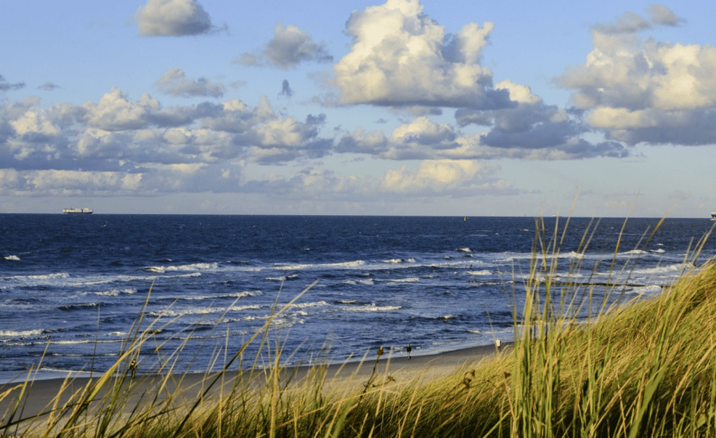 Ins Kalte springen – und warum das auf Sylt mehr Sinn ergibt als irgendwo sonst