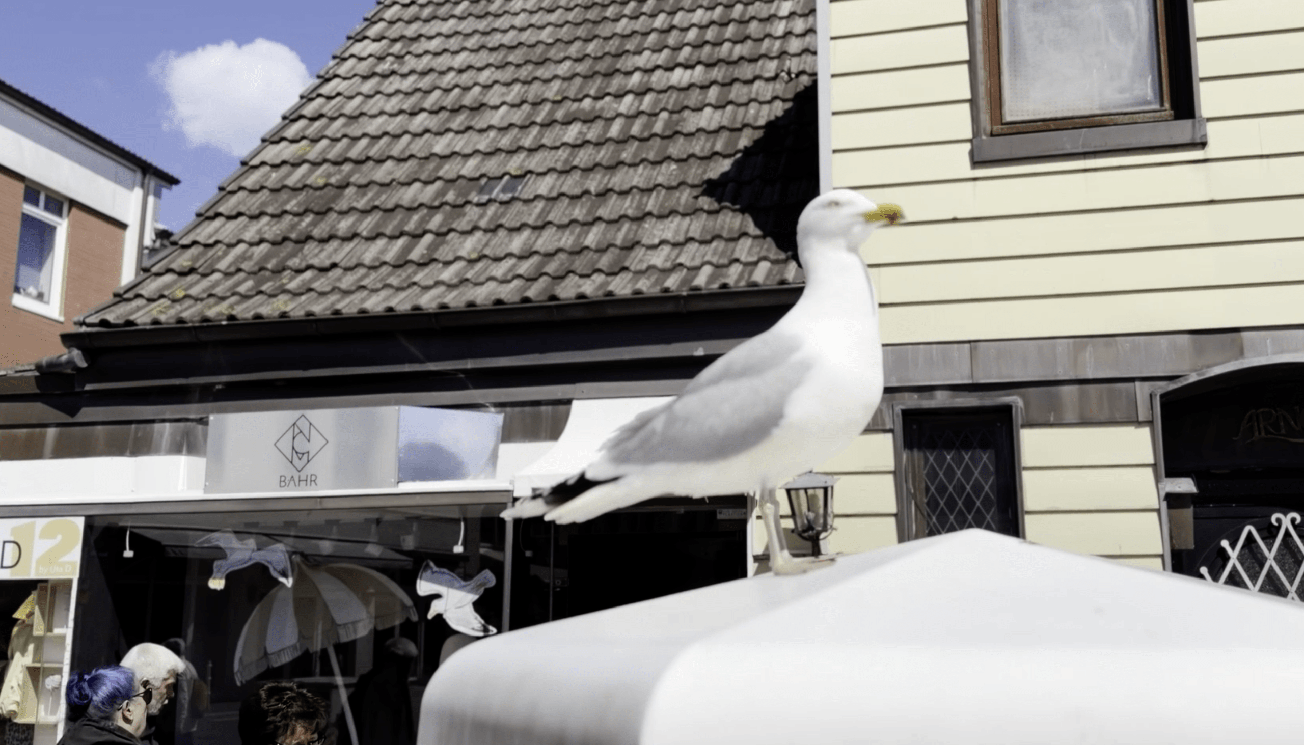 Westerland neu entdeckt: Von architektonischer Mode und maritimen Ankerplätzen 7 Westerland neu entdeckt: Von architektonischer Mode und maritimen Ankerplätzen