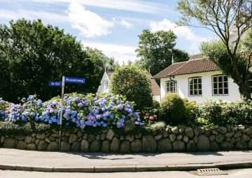 Sylt blüht: Wie Blumen das Inselgefühl nach Hause bringen