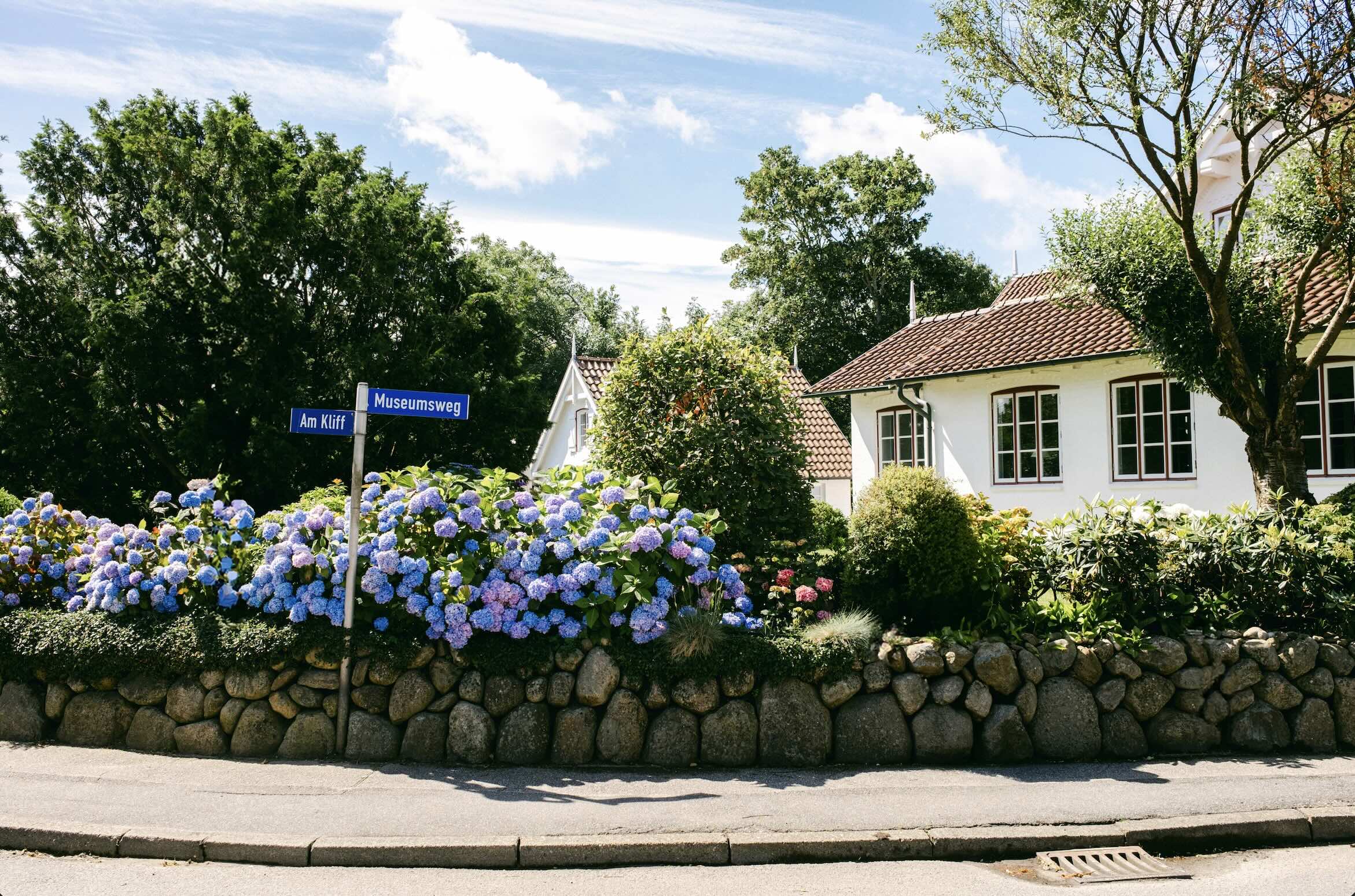 Sylt blüht: Wie Blumen das Inselgefühl nach Hause bringen