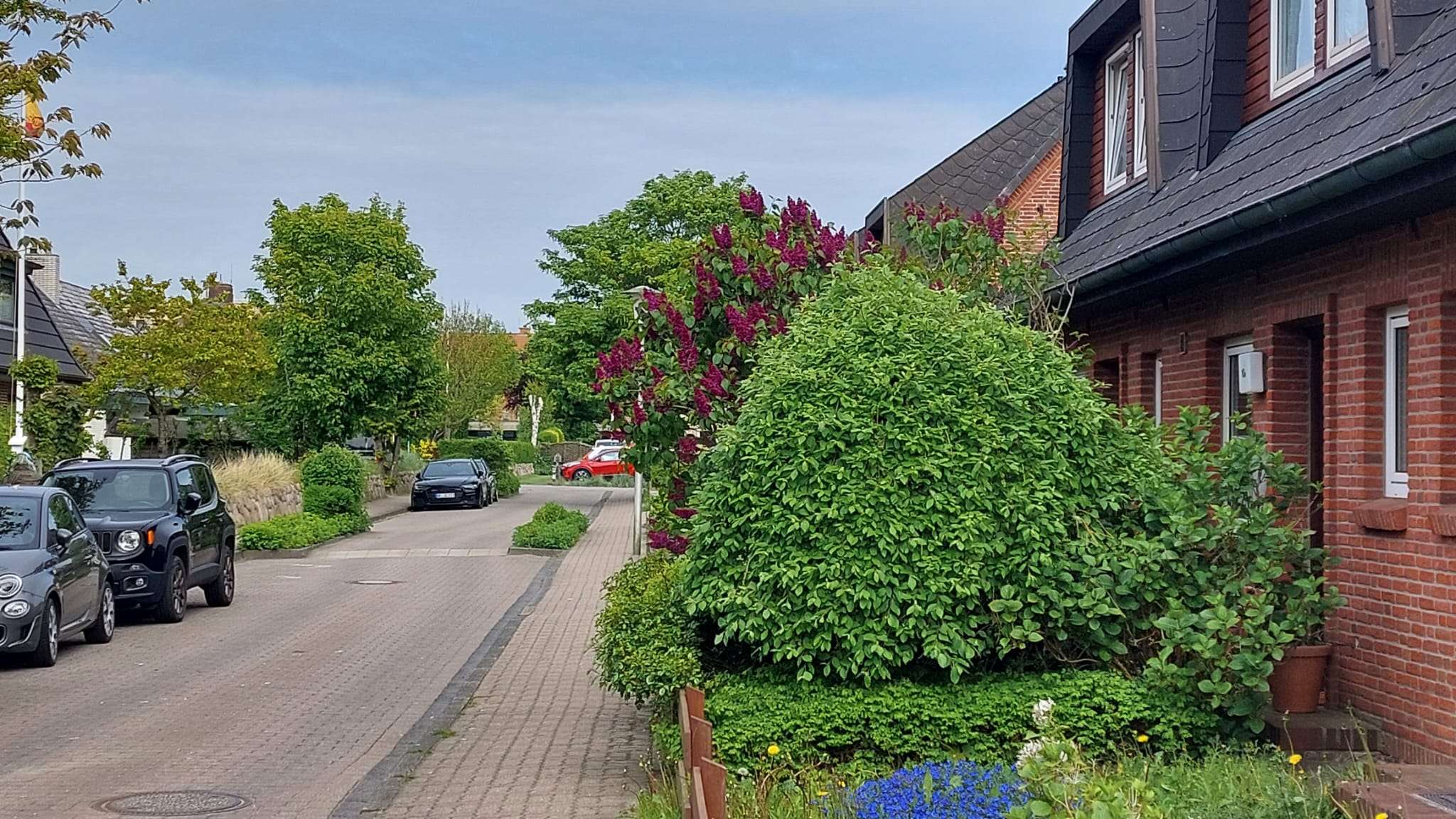 SYLT KANN DEN KNOTEN LÖSEN — WENN ES WILL 1 SYLT KANN DEN KNOTEN LÖSEN — WENN ES WILL