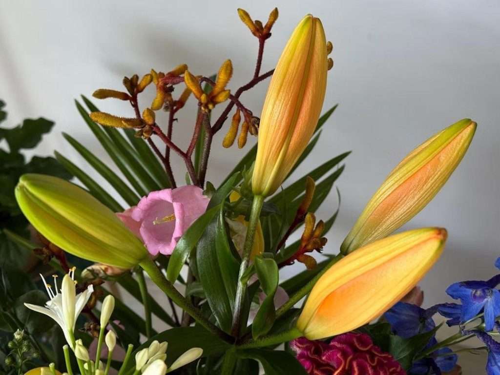 Sylt blüht: Wie Blumen das Inselgefühl nach Hause bringen 4 Sylt blüht: Wie Blumen das Inselgefühl nach Hause bringen